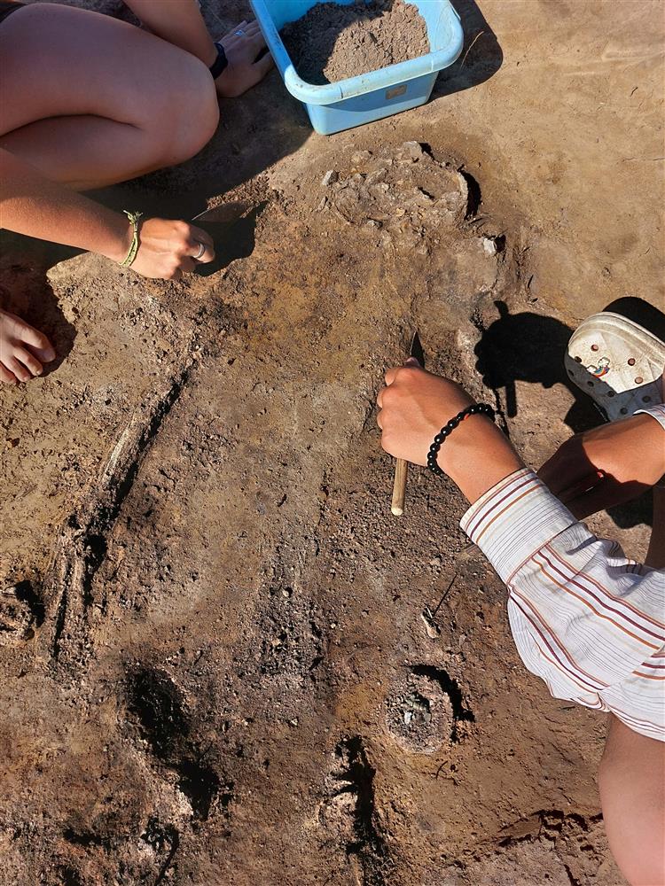 археологическая раскопка. захоронения сарматов в волгоградской области. т. институт археологии халикова. археолог.
